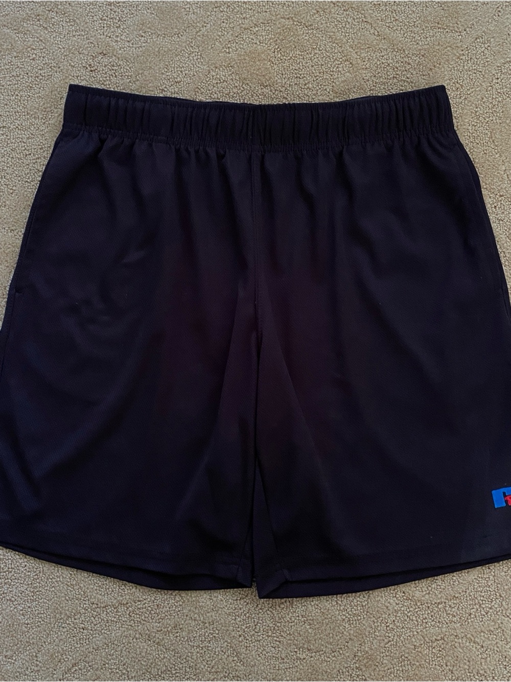 Russell Athletic Men’s L Regular Mesh Polyester Gym Shorts Drawstring Black Navy